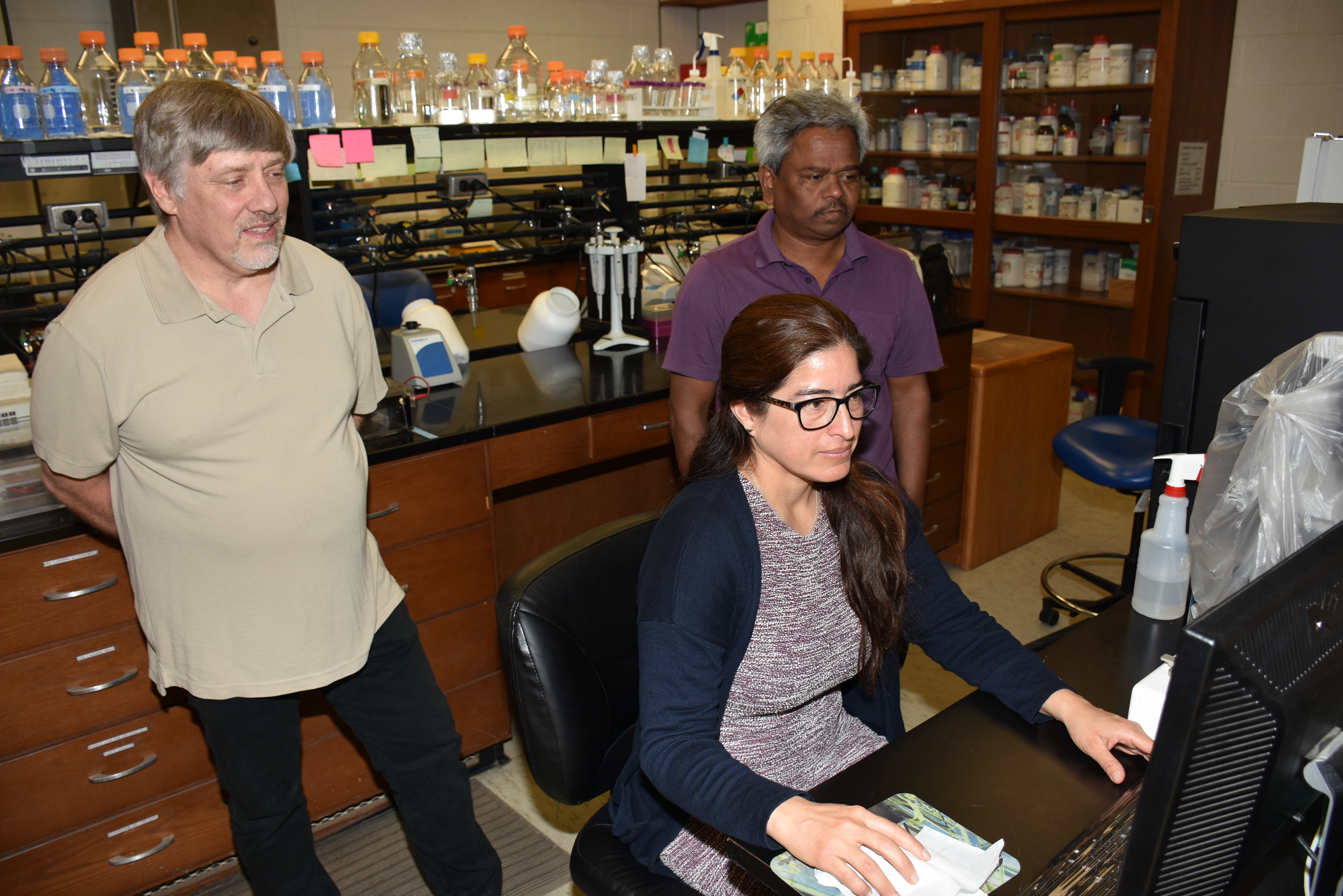 Borlaug fellow completes sweet potato project